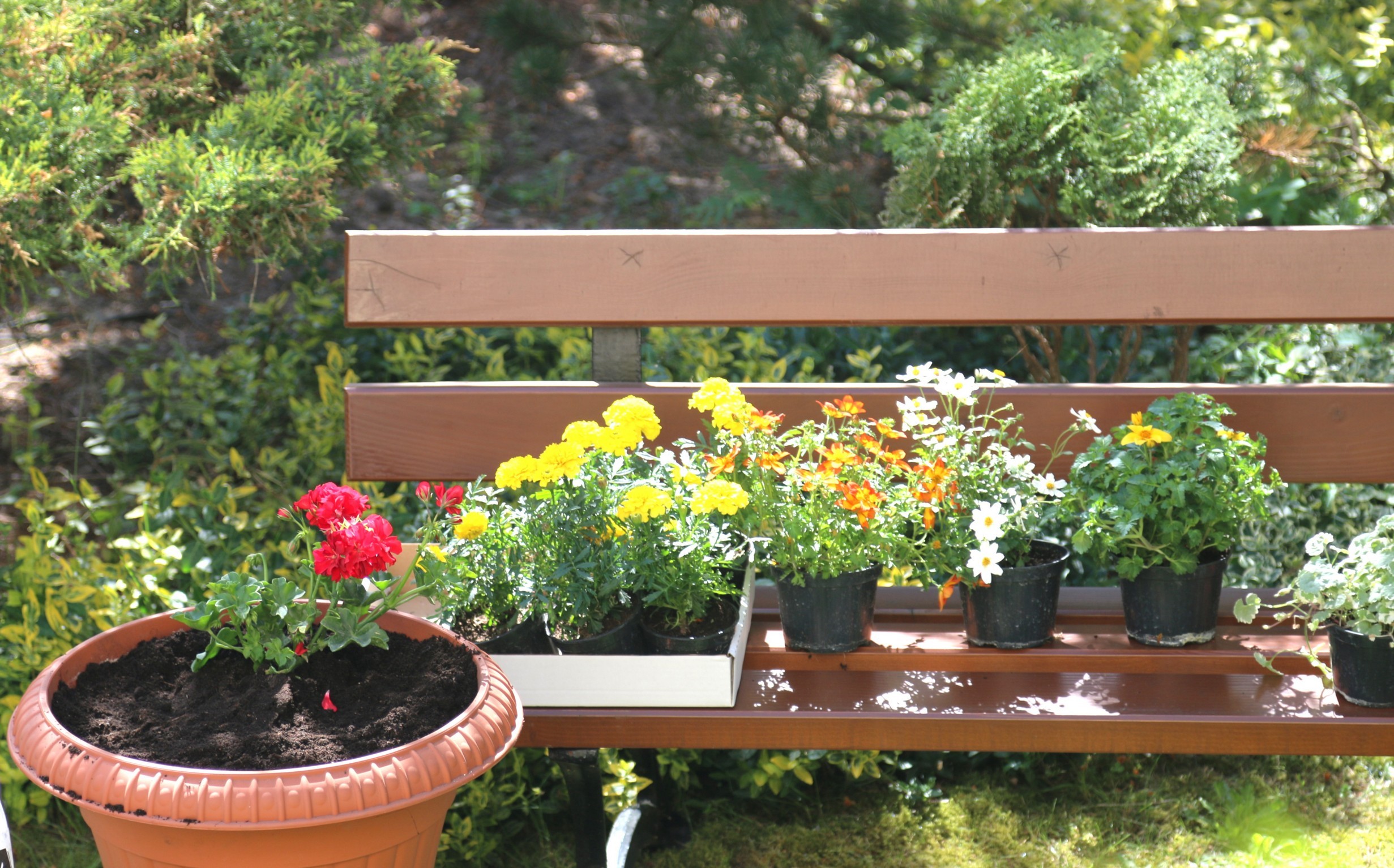 ZDROWO TO CZASEM ZNACZY TEŻ KOLOROWO WPŁYW KWIATÓW NA ŻYCIE CZŁOWIEKA
26 maja odbyły się zajęcia w…