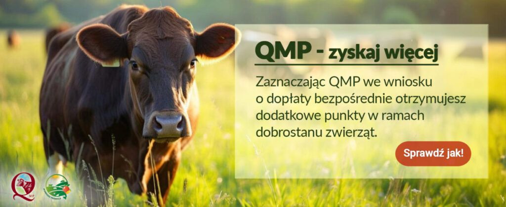 Ekoschemat „Dobrostan zwierząt”
Polskie Zrzeszenie Producentów Bydła Mięsnego, administrator Syste…